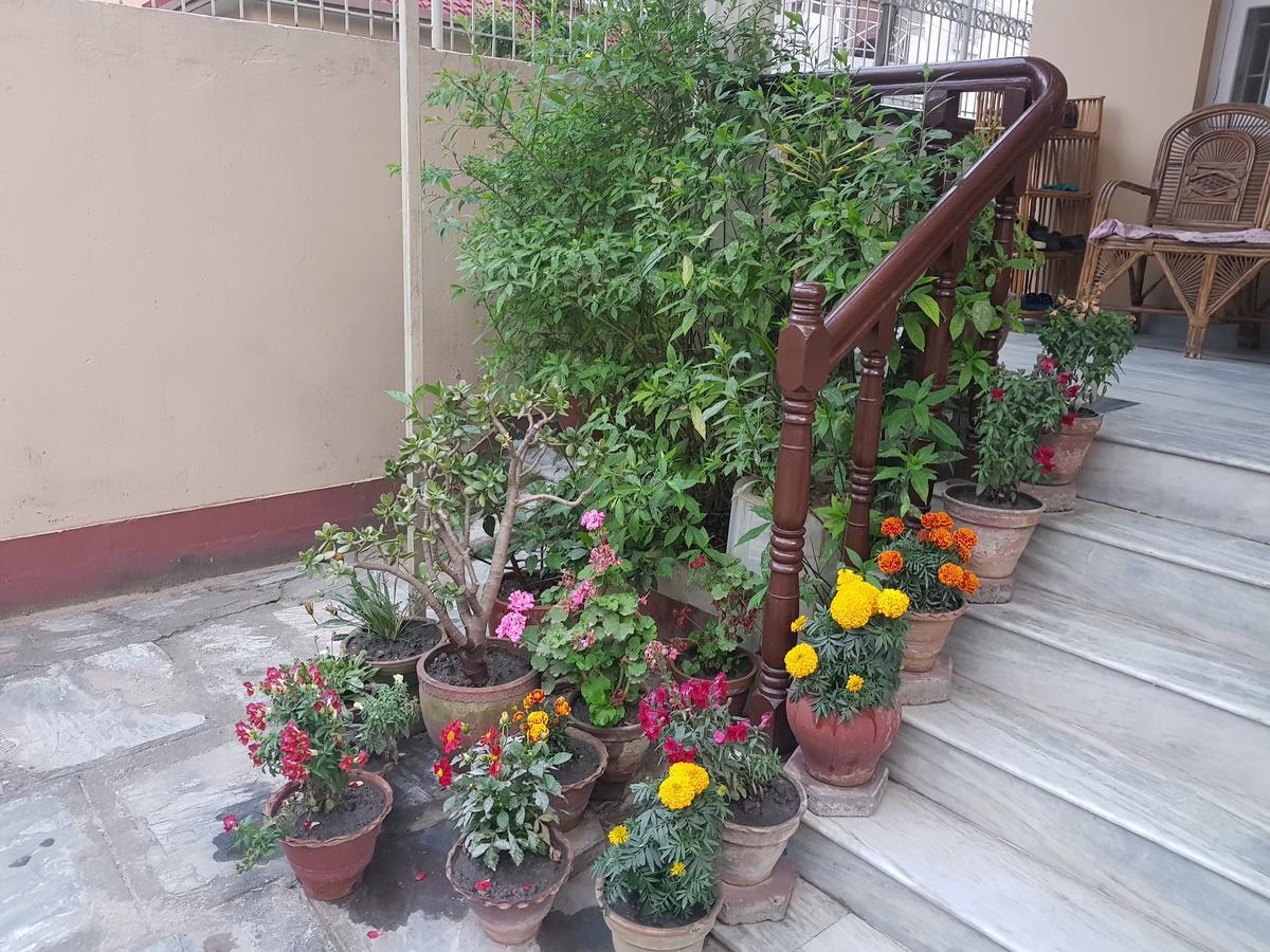 Cozy Home Jawlakhel Экстерьер фото